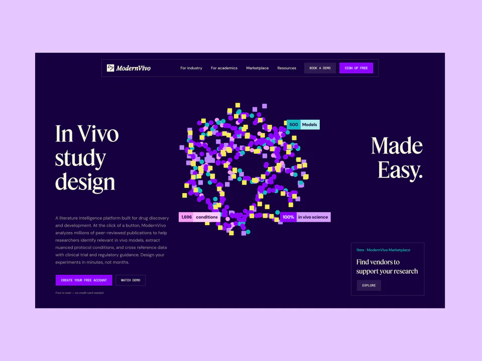 ModernVivo — project screenshot