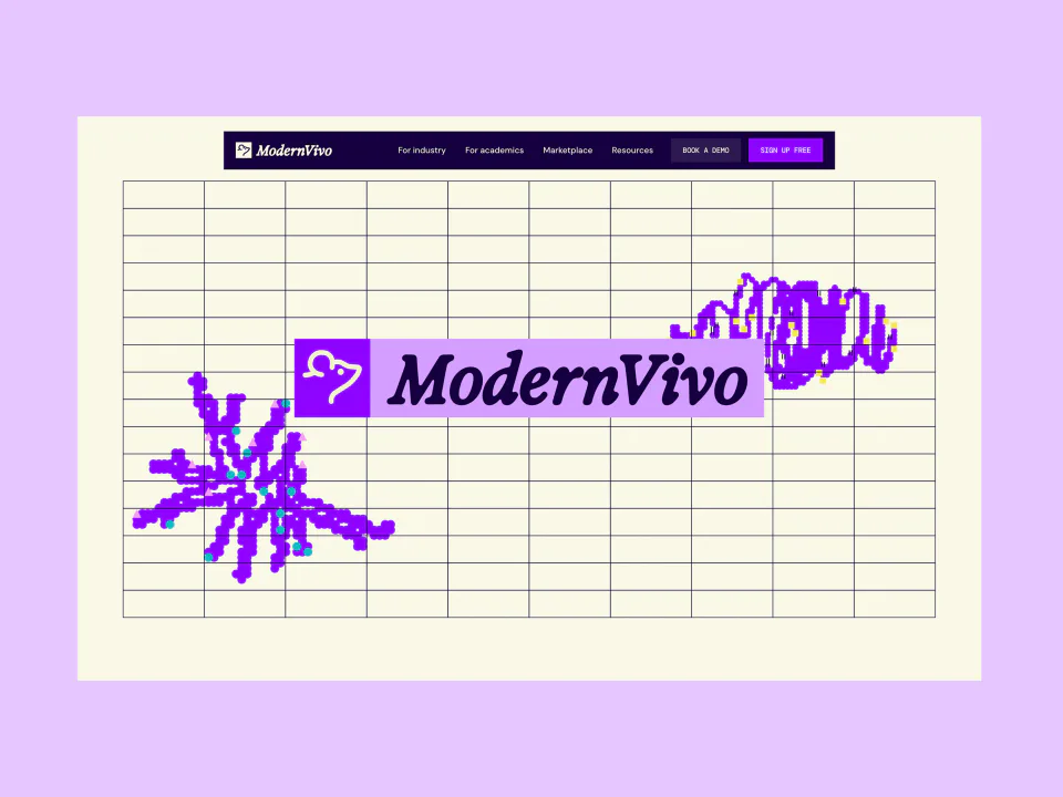 ModernVivo — project screenshot